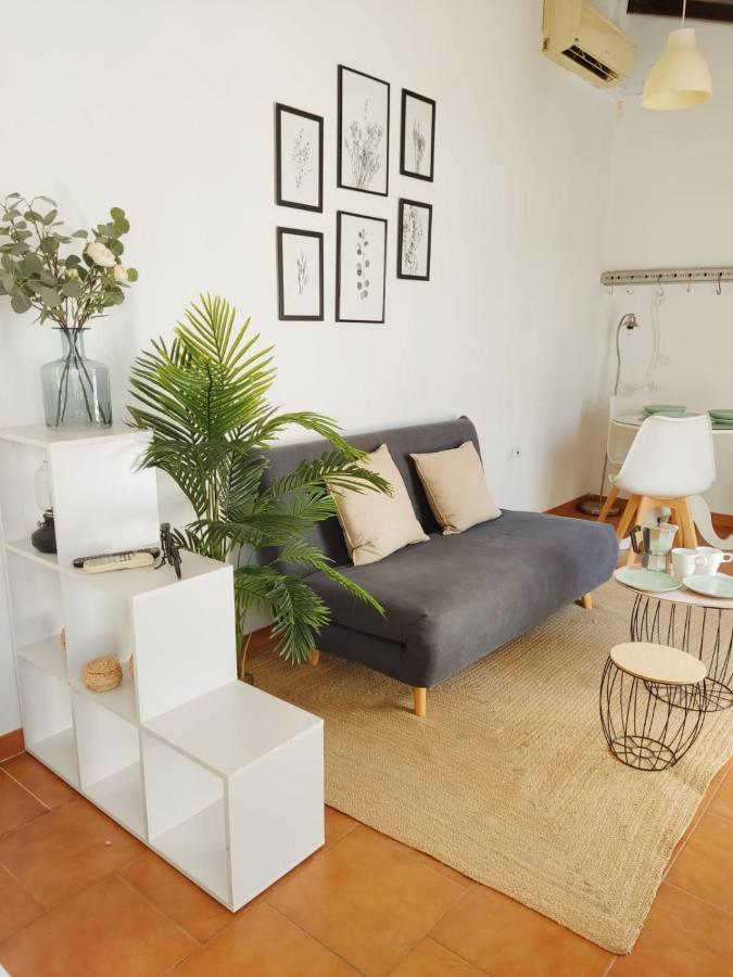 Apartmán Stunning Attic With Private Terrace And Parking Optional Sevilla Exteriér fotografie